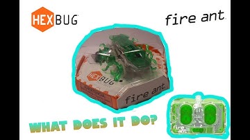 Check it out! HexBug Fire Ant!!