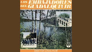 Video thumbnail of "Los Embajadores del Guadalquivir - Eres Tan Linda Flor"