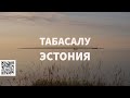 #Табасалу #Эстония #Прогулка Прогулка в Табасалу |  Эстония | 2020