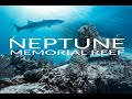 Neptune memorial reef  underwater cemetery in miami   lost city of atlantis
