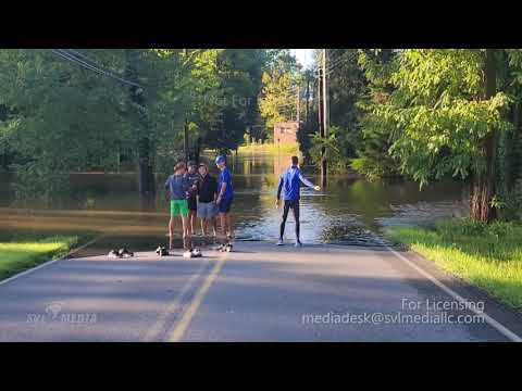 Vídeo: Com puc obtenir una llicència de matrimoni a Dauphin County PA?