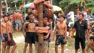 Lomba panjat Pinang 17 Agustusan 2025 HUT 80 REPUBLIK INDONESIA 🇲🇨 Dusun Pangkalan Darat