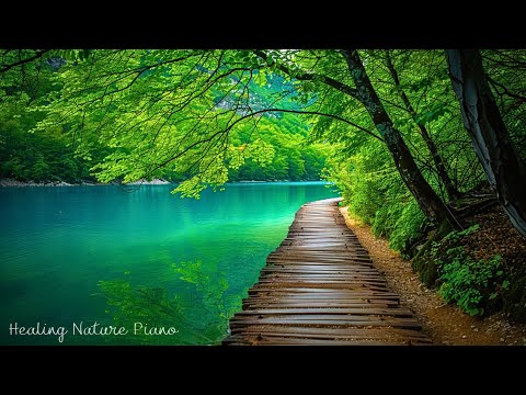 Relaxing in Every Note🎶Beautiful Healing Music, Calming Nature Sounds, Relieve Stress & Deep Sleep