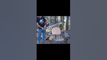 Ported 362 CM