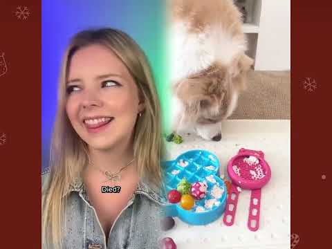 🤣👌👌👌2026 pov Must-Watch Crazy Clips Compilation #humor #fypシ #pov #fyp #foryou #funny 😍😜