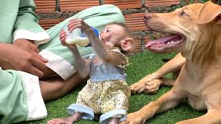 Oh god!! Amazing girl LIORA is sitting next to the dog and drinking her favorite milk