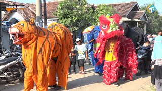 PANTUN JANDA ~ TAINI CAHAYA ~ BUROK DANGDUT CINTA NADA BUDAYA SHOW KARANGBALE 24/05/2023