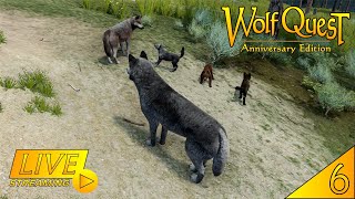 LIVE 1080p60 | Filhotes Crescidos, Novos Desafios (WolfQuest: Anniversary Edition) (#6) PT-BR