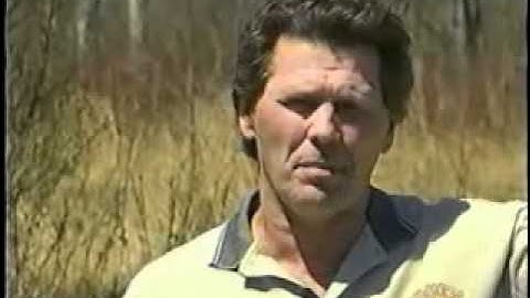 Marko the Bomb Detector Dog