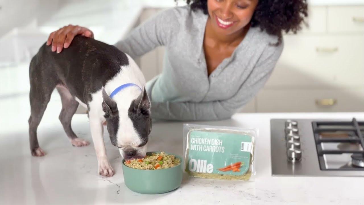 Ollie Dog Food Quality and Process YouTube