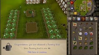 How to get started Farming Guide OSRS/2007! Plus is it worth doing farm runs?