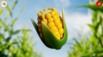 Blender Corn 3D Modeling | Blender 3D Modeling Corn | Low Poly Corn Blender