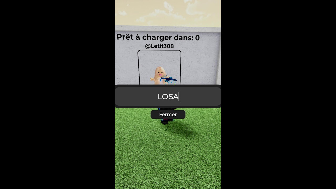 ON NOTES VOS SKINS ROBLOX !!