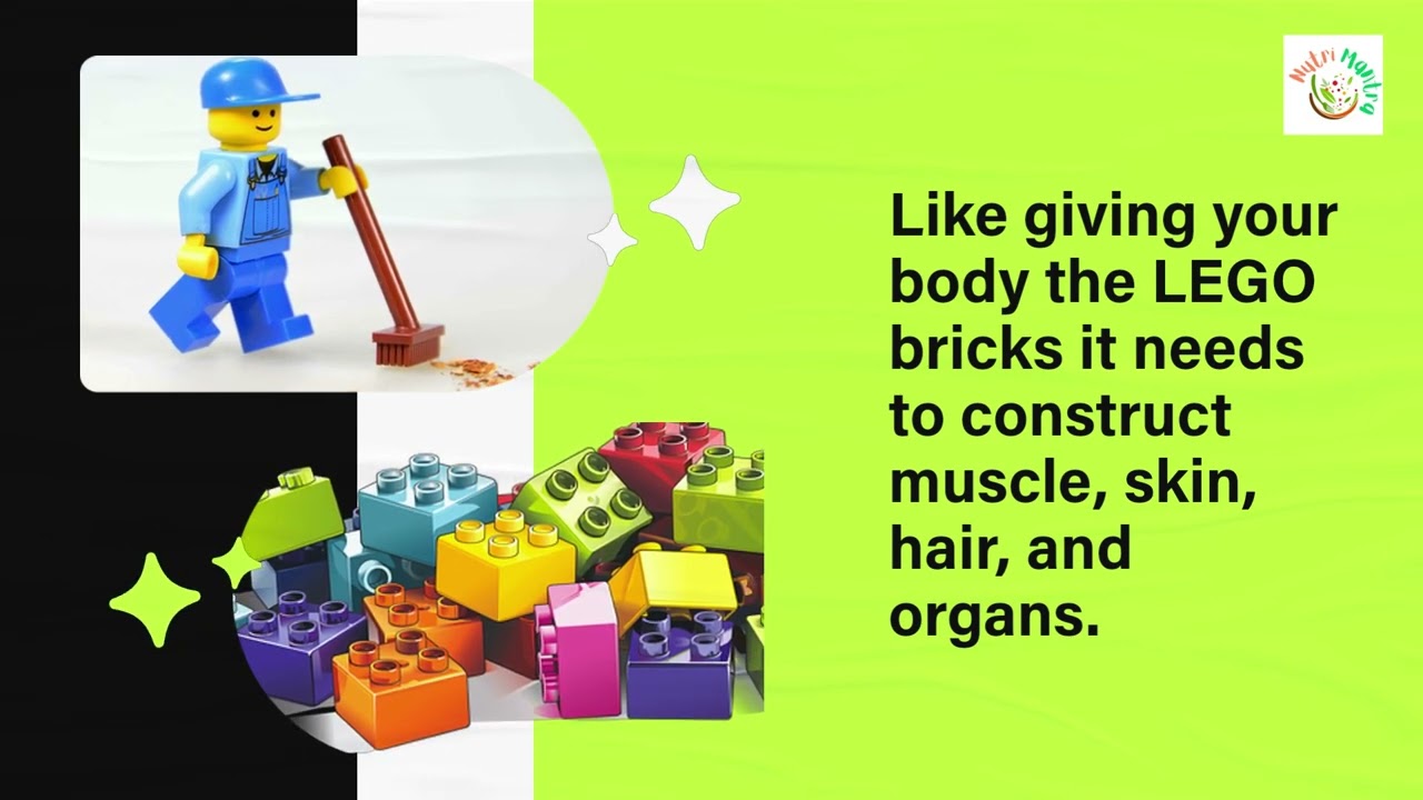 Why add proteins to your diet? II प्रोटीन क्यों ज़रूरी है?