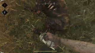 Celebrity Ferryman's Oar OP??!! Profile