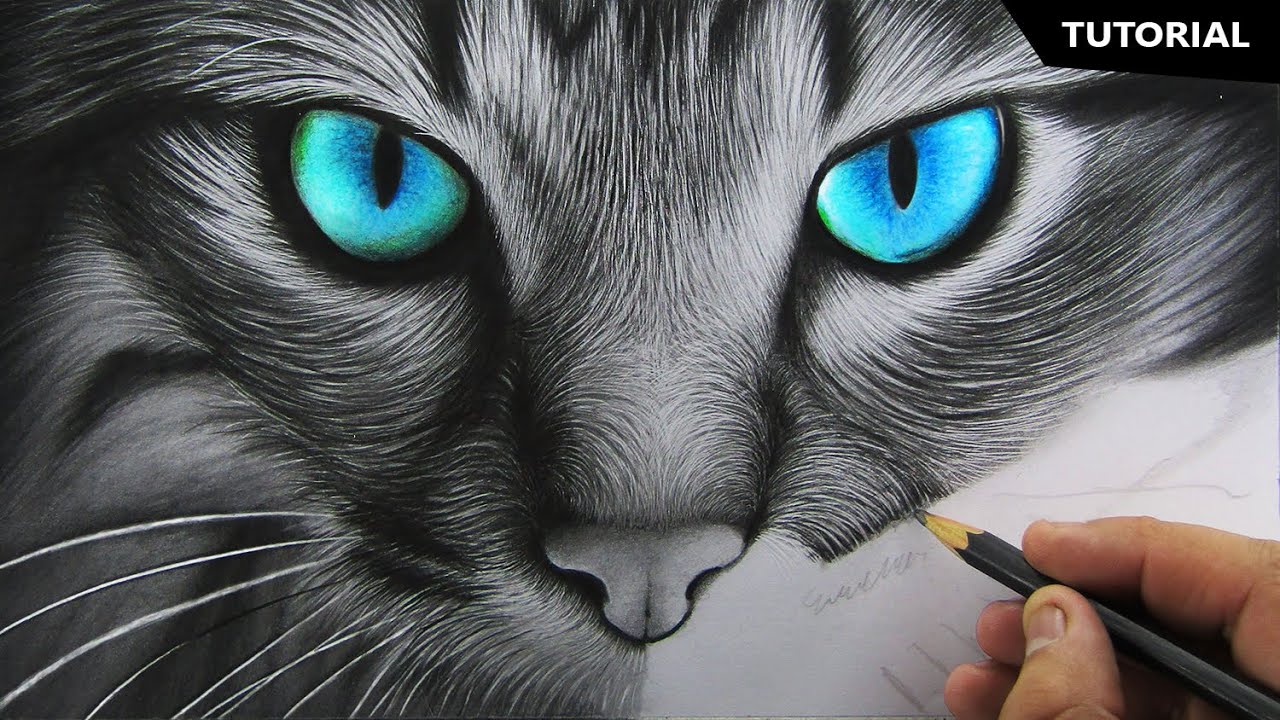 View Realistic Cat Sketch Gif