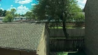 Backyard Timelapse 20260812