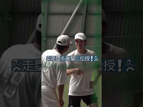 緒方理貢選手が走塁を伝授［どうやったら速く進むというのはある］#緒方理貢 #山下恭吾 #sbhawks #福岡ソフトバンクホークス #タマスタ #プロ野球 #育成 #Bambies #shorts