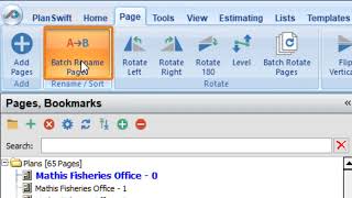 The Batch Page Rename Tool