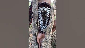 TRYPOPHOBIA TEST Vol.4 #trypophobia #shorts  #viral #trending