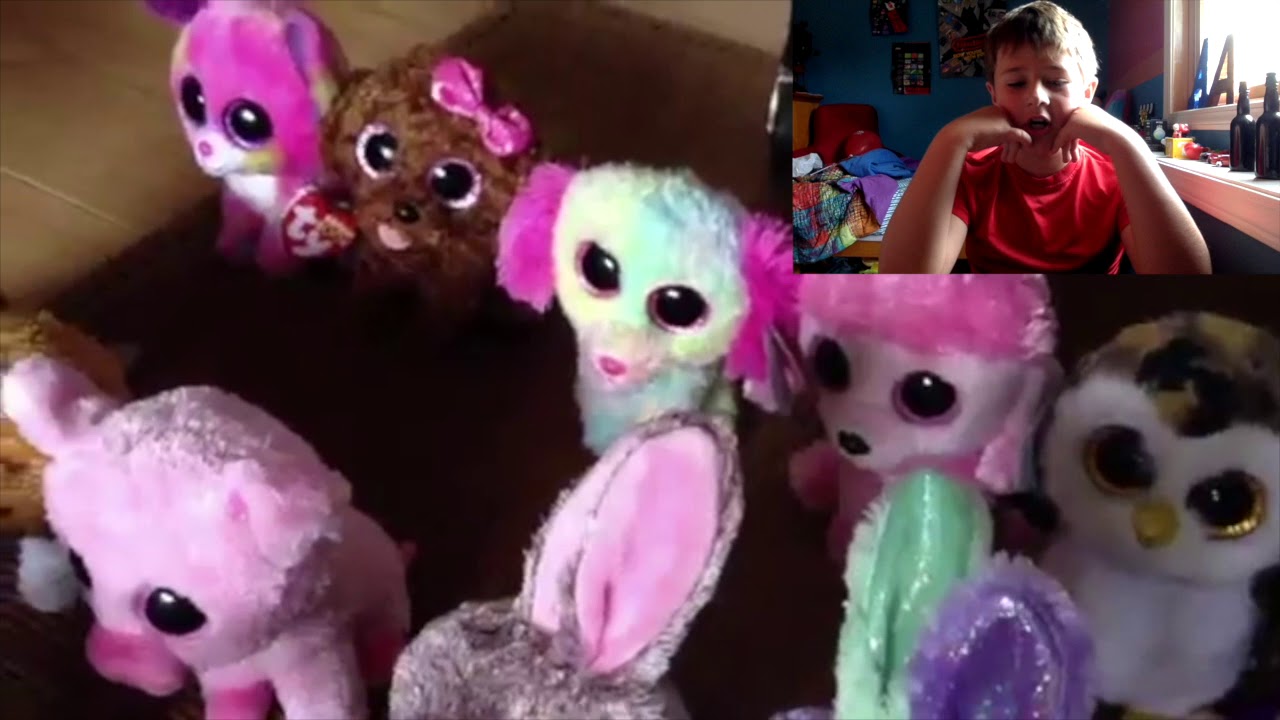 beanie boo high school