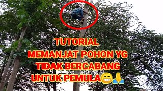 HOW TO CLIMB A TREE WITHOUT BRANCHES