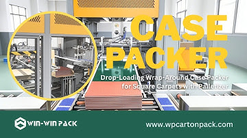 WIN-WIN PACK Drop-Loading Wrap-Around Case Packer for Square Carpets with Palletizer | Palletizing