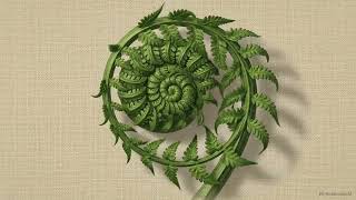The Geometry of Motion: Why Spirals Appear in Nature (Euler’s Formula Explained)