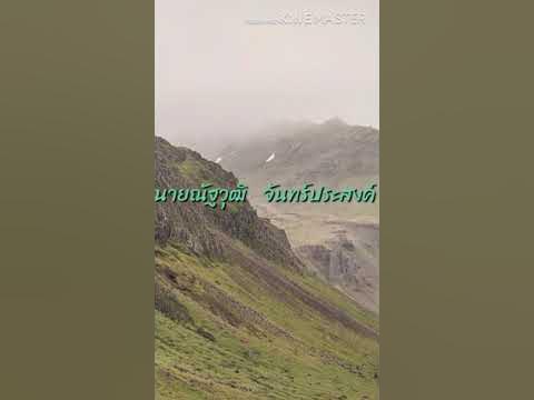 ขายไม้กวาดหยักไย่ - YouTube ขายไม้กวาดหยักไย่ - Youtube
