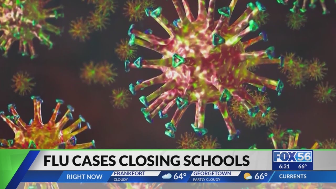2 Kentucky school districts cancel class due to flu - YouTube