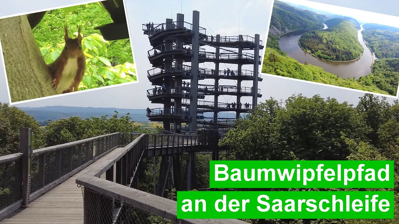 Baumwipfelpfad an der Saarschleife