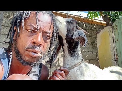 Them Call Me The Goat This Is How I Started 2026 With The Blessings Of God 