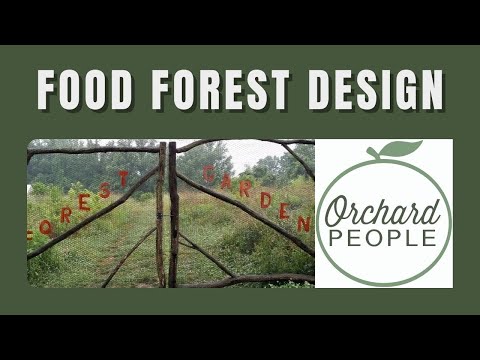 Food Forest Design and Listening to the Landscape 🍑 👂 🌳 | Orchard People #foodforest