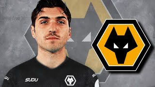 Christos Mandas Welcome To Wolves Fc ? 2025 Best Saves Highlights