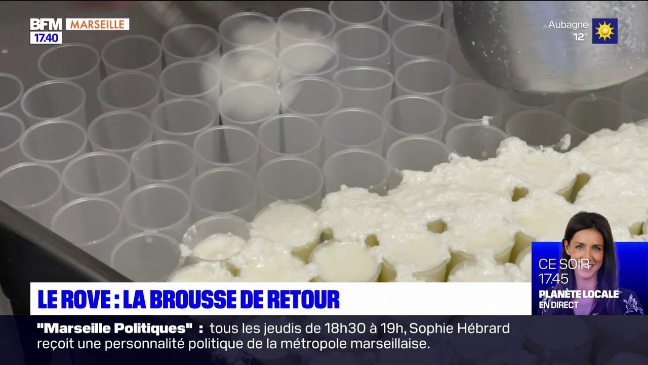 Le Rove : début de saison pour les producteurs de brousse