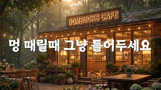 [Playlist]편안한 휴식과 여유☕️[중간광고없음]카페 매장 음악 🎧 그냥 틀어두세요, 차 마실 때, 일할 때, 잠잘 때.. 부드러운 선율 | Premium Cafe BGM