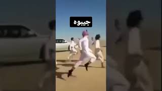 جيبوه يبات هنا