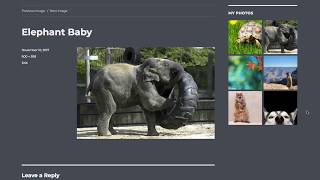 Add Photos to Your WordPress Sidebar With the Image Widget