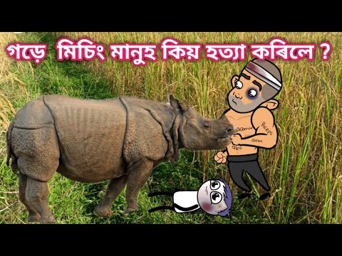 Rhino Power Of Assam | mising cartoon video | mising comedy video |  MissingVideo Mising Tani - YouTube