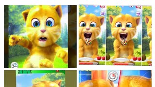 Talking Ginger Funny videos🤣😁🐬🐂🐼🦓🦔🐱🐪🦍 😎🦊🐬🐂|My Talking Ginger