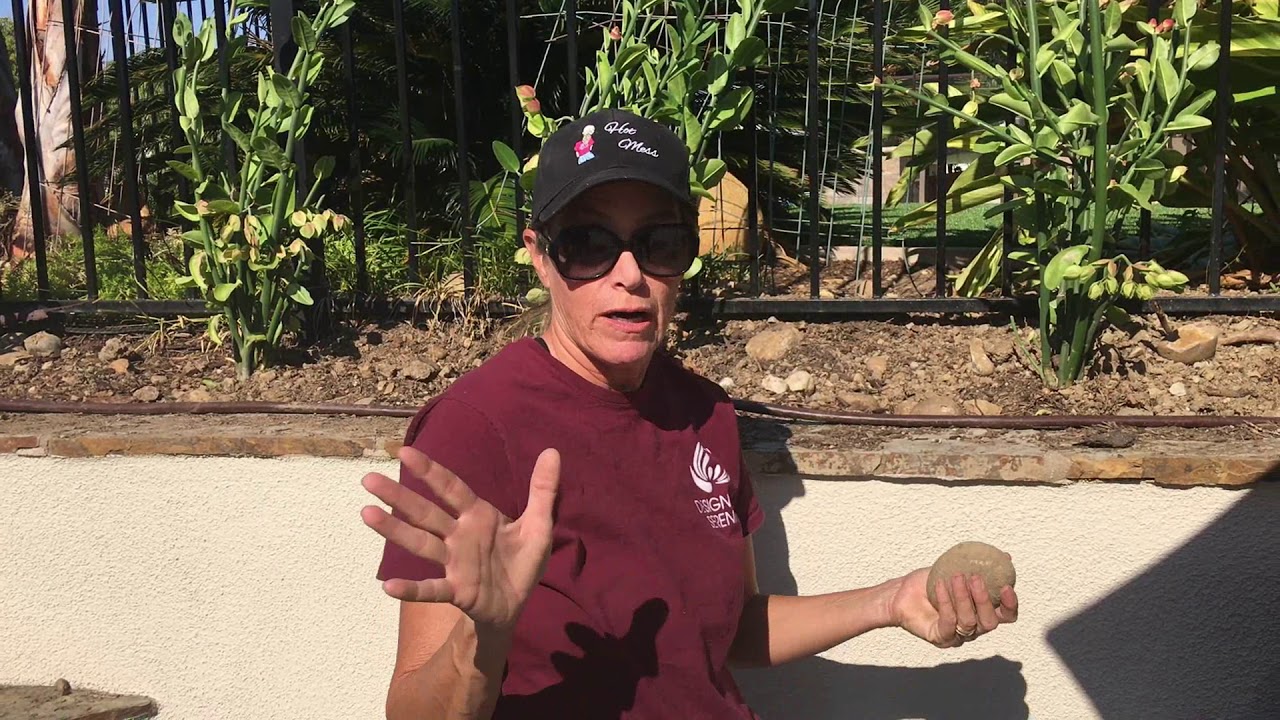 New Project Day 2 Part 1 - YouTube