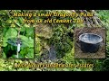 Making a small Dragonfly Pond from an old Cement Tub
