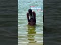 Mettur Dam #mettur #backwater #salem #dharmapuri #cauvery #river #song #views #vibes #trending #love