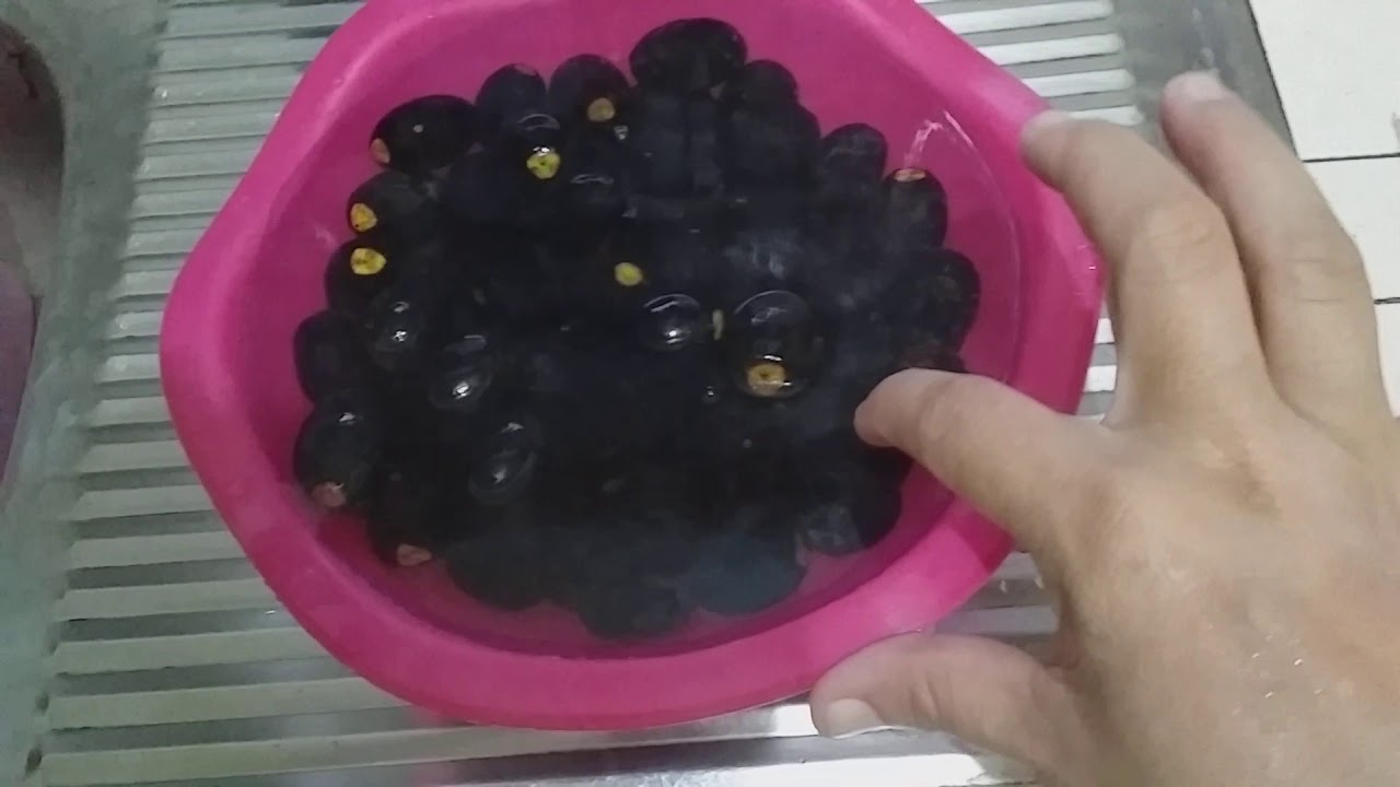 Cara rebus buah dabai. 