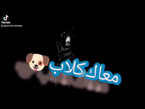 استوريهات واتس اب انستغرام اغنية وراك عيلة ورايا جيوش