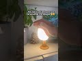 La lámpara que no sabía que necesitaba en mi vida… 🥹🐦 #lamp #led #light #decoracion #regalo