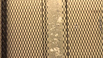 Vibrating Bubble Column