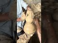 Amazing Clay Piggy Bank Making Process | Handmade Money Saving Gullak | Factory Business Video