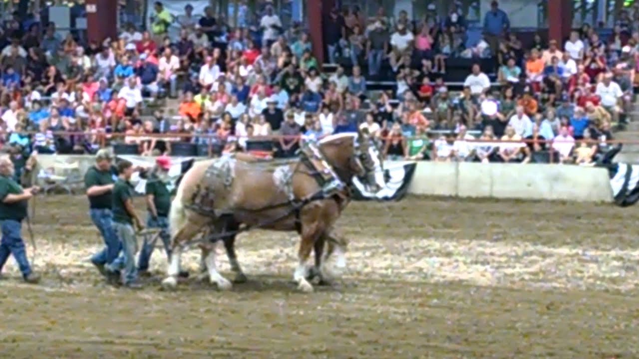 Wisconsin 2015 State Fair horse championship pull YouTube