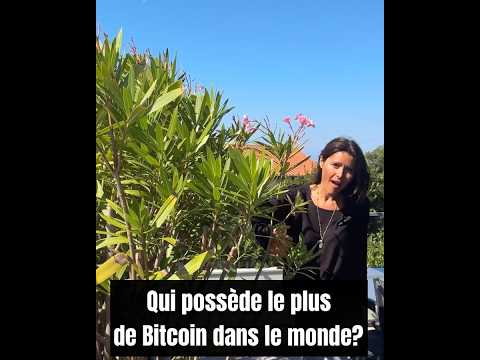 Bitcoin : qui en a le plus ? TOP 10